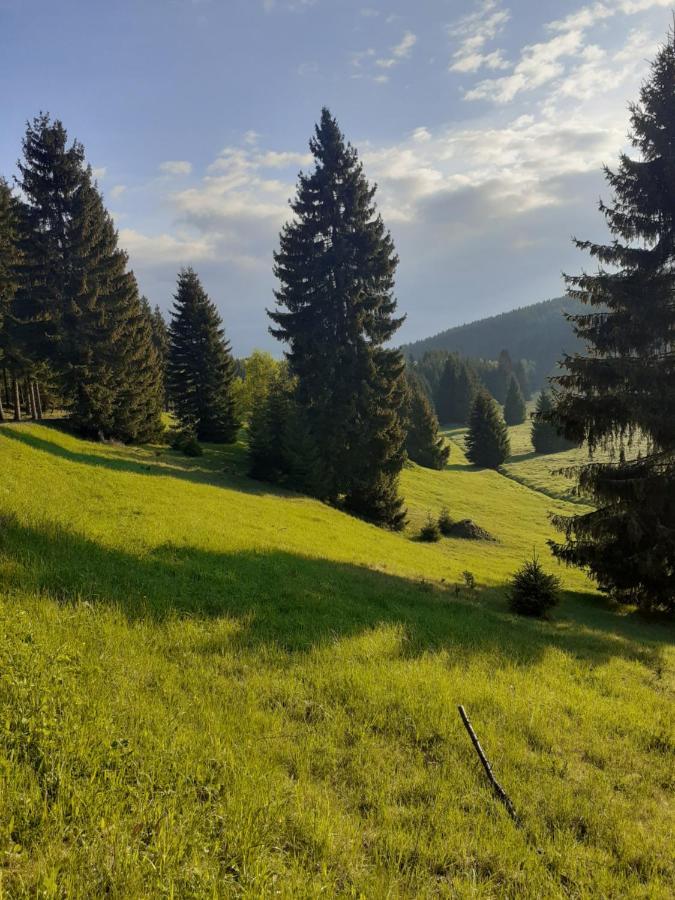 U Pratel * Kovarska